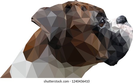 head of boxer dog breed; low poly; polygonal vector illustration design on white background