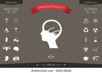 Head with brain symbol icon