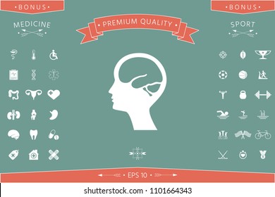 Head with brain symbol icon