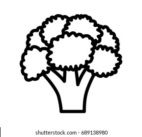 Head of broccoli vegetable line art vector icon for food apps and websites