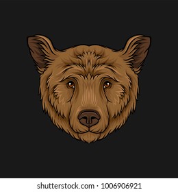 Head of brown bear, face of wild animal hand drawn vector Illustration