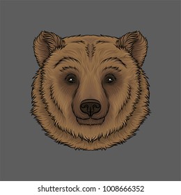 Head of brown bear, portrait of wild animal hand drawn vector Illustration