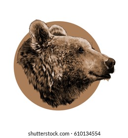 the head of the brown bear in profile, looking into the distance, sketch vector graphic, monochrome pattern on a brown background circle