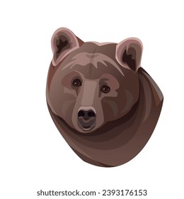 Head of the brown bear. Vector illustration isolated on white background in realistic style