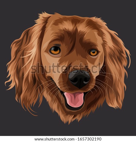 head brown dog potrait vector
