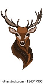 The head of a buck with large horns. Drawing of a beautiful deer.