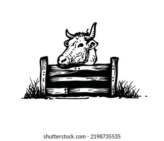 The head of a bull or a cow coming out of a wooden fence illustration hand drawn symbol icon logo design. Farm logo vector