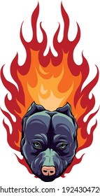 head of Bull Dog with Flame vector