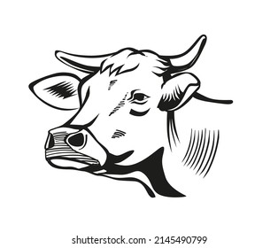 Head of bull drawing, engraving style