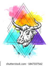 Head of bull. Hand drawn beautiful vector illustration. Symbol of 2021 new year.