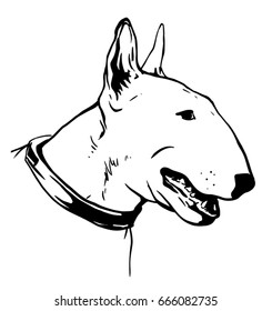Free Free 198 English Bull Terrier Svg SVG PNG EPS DXF File