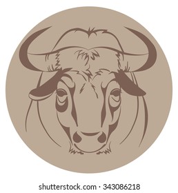 head of a bull, vector illustration