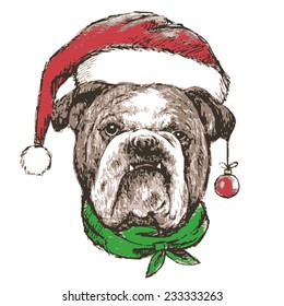 Head of bulldog with santa claus hat , use for christmas background