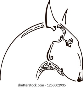 A head of bullterrier