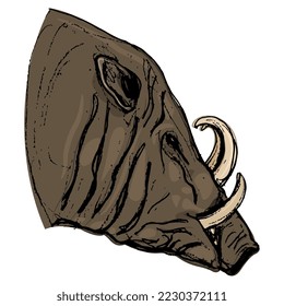 Jefe de Buru babirusa de perfil. (Babyrousa babyrussa). Cerdo salvaje indonesio. Dibujo a mano en un bosquejo colorido. Ilustración vectorial aislada.