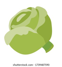 head of cabbage, flat, isolated object on a white background, vector illustration,