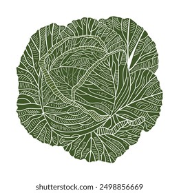 Head of Cabbage hand drawn sketch isolated on white background. Organic food can be used for restaurant menu, card, textile, print, poster, design. Vector flat illustration.