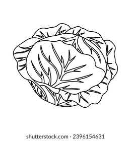 head of cabbage outline icon, simple vegetable sign, black and white vector illustration of organic food