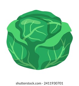 Head of cabbage. Vector flat clipart isolated on white background.