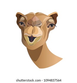 Head of a camel close-up, front view. Vector illustration isolated on white background