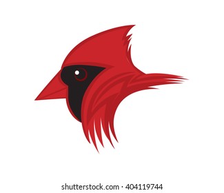 Head Of Cardinal Bird