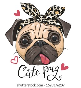 Head of Cartoon Pug Dog in a leopard scarf isolated on a white background