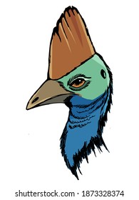 Head of cassowary, one of the biggest bird of wildlife, who lives in rainforest. Vector, sketch, hand drawn, colorful illustration. Motives of live nature, fauna, zoo life