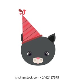 head of cat animal with party hat on white background