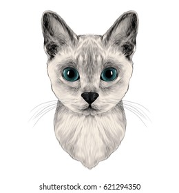 the head of a cat breed Australian mist symmetric, sketch vector graphics color picture