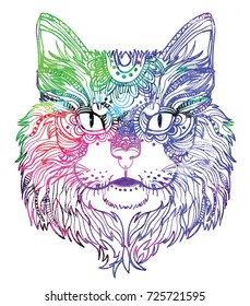 The head of a cat. Fluffy kitten. Drawing manually in vintage style. Meditative coloring. Coloring for children. Arrows, points, patterns.