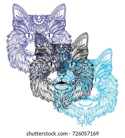 The head of a cat. Fluffy kitten. Drawing manually in vintage style. Meditative coloring. Coloring for children. 