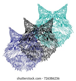 The head of a cat. Fluffy kitten. Drawing manually in vintage style. Meditative coloring. Coloring for children. Arrows, points, patterns.