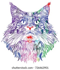 The head of a cat. Fluffy kitten. Drawing manually in vintage style. Meditative coloring. Coloring for children. Arrows, points, patterns.