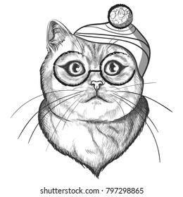 Head of a cat with glasses and a striped hat. Vector