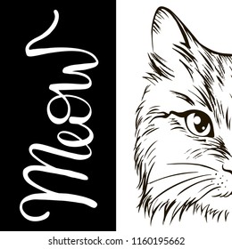 Head of cat with hand lettering word 'Meow' on white background. Vector illustration.