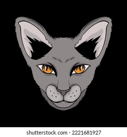 head cat illustration isolated dark background