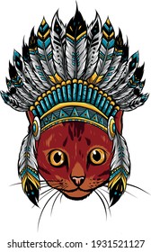 head of Cat with indian hat vector