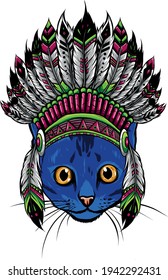 head of Cat with indian hat vector