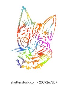 The head of a cat. Multi-colored shading. Handmade. Vector illustration