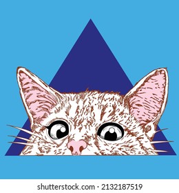 THE HEAD OF A CAT PEEKING THROUGH A TRIANGLE