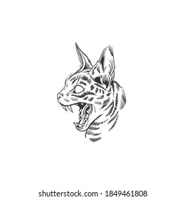 A head of a cat. Tattoo. Can be used as a sketch of a tattoo.