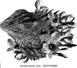 The head of a chameleon in the flowers of orchids and plumeria floral arrangement, sketch vector graphic drawing on white background