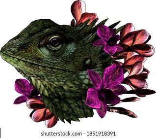 The head of a chameleon in the flowers of orchids and plumeria floral arrangement, sketch vector graphics color illustration on white background