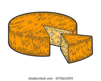 Head of cheese sliced. Sketch scratch board imitation color.