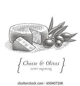 Head of cheese with triangle piece of cheese and olives with olive branch. Hand drawn engraving style illustrations. 
