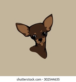 The head of chihuahua dog. Dog vector illustration. 