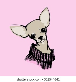 The head of chihuahua dog. Dog vector illustration. 