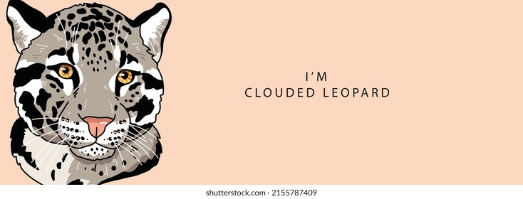 The head of a clouded leopard looks seriously to the side on a beige background with the text inscription I'm clouded leopard  . Vector illustration