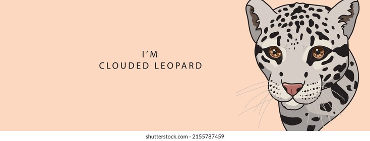 The head of a clouded leopard looks seriously to the side on a beige background with the text inscription I'm clouded leopard  . Vector illustration