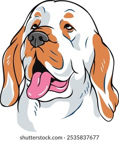 Head of Clumber Spaniel Dog